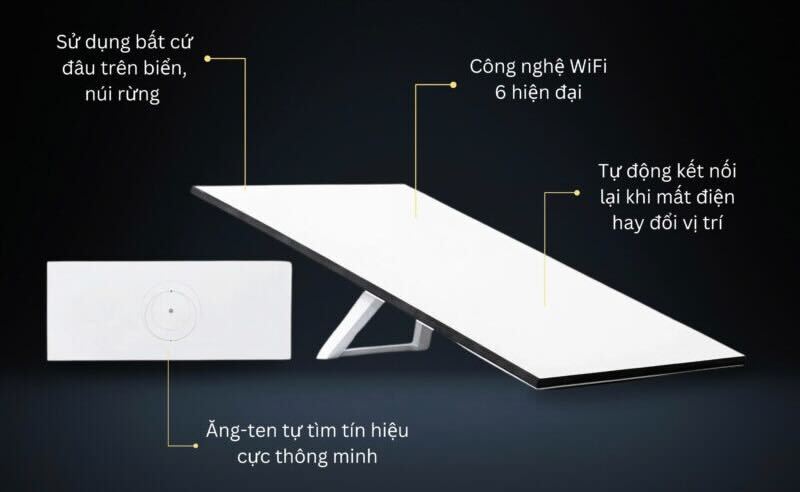Starlink Standard - hình 3